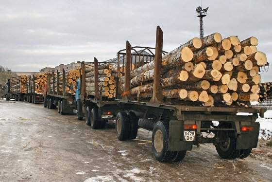Российские лесоматериалы можно будет перевозить в страны ЕАЭС на грузовых автомобилях